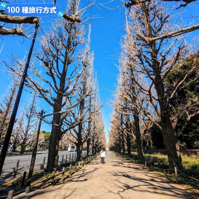 另類光禿禿的銀杏併木奇景:明治神宮外苑大道 另類光禿禿的銀杏併木奇景:明治神宮外苑大道
