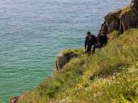 Close to Nature on the Gentle Portcurno Circular Walk