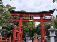 【福井】意外と穴場！！敦賀の日本海さかな街
