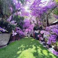 The Grounds of Alexandria