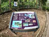 Embracing Nature in Langkawi: Beyond the Famous Beaches