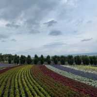 Japan’s Northern Jewel- Hokkaido 