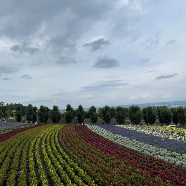 Japan’s Northern Jewel- Hokkaido 
