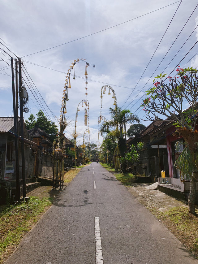 Discover the Serenity of Ubud’s Rice Fields 