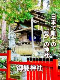 【京都府】日本で唯一の「髪」の神社