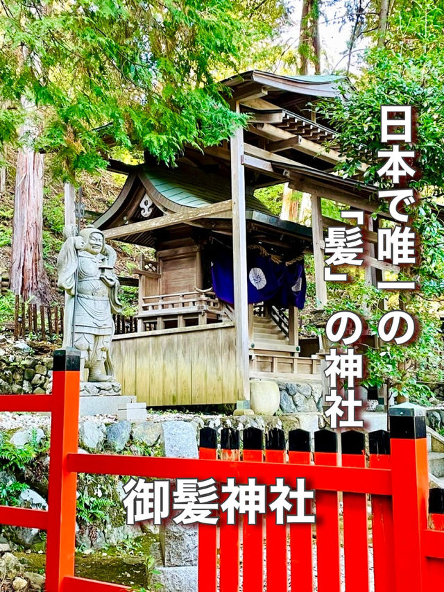 【京都府】日本で唯一の「髪」の神社