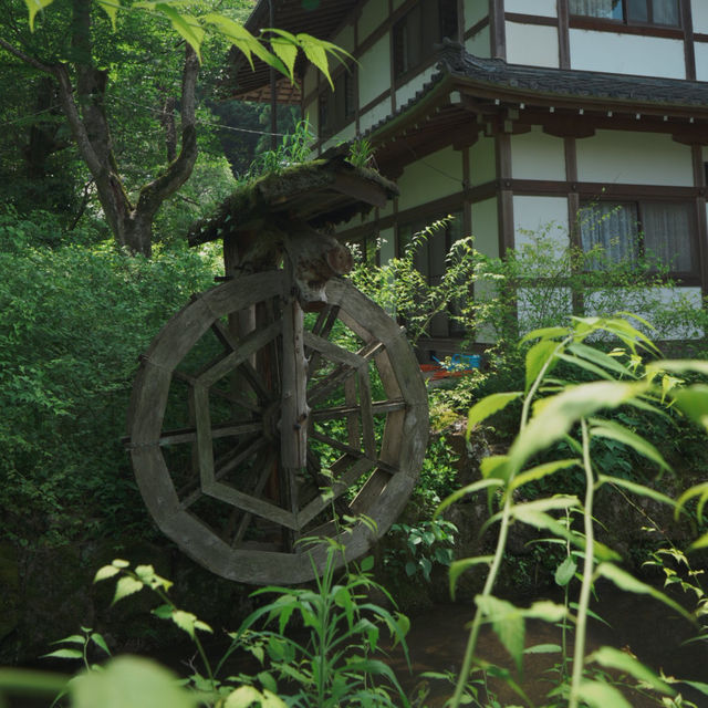 【京都観光】酒造りと縁結びの神様を祀る！「松尾大社」⛩️ 🍶