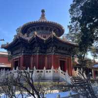 Discovering the Forbidden City: A Joyful Winter Journey Through Beijing’s Ancient Treasure