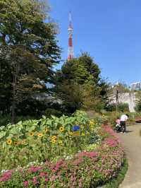 【東京】東京タワーがきれいに見える公園