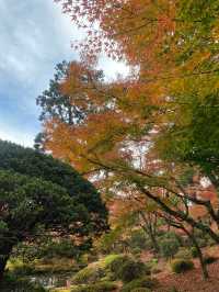 【宮城県･松島町】景色が素敵な円通院🍁