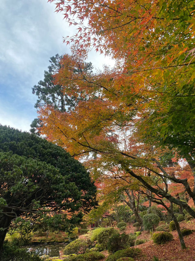 【宮城県･松島町】景色が素敵な円通院🍁