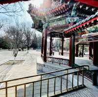 來北京中山公園賞春花美景～醉遊人