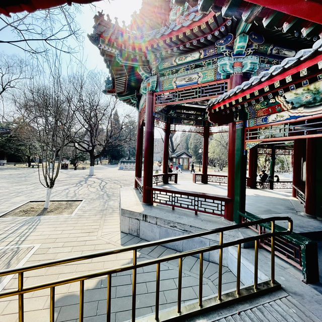 來北京中山公園賞春花美景～醉遊人