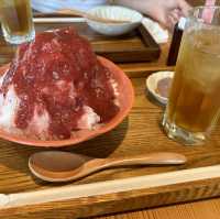VISONの夏