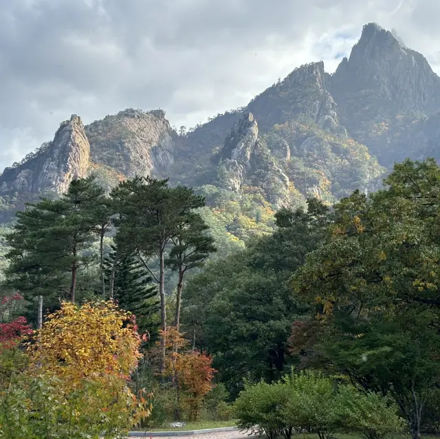 韓國雪嶽山