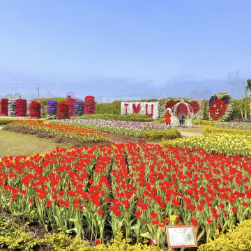 花台 2026年 Zhongshe flower market taichung観光スポットおすすめ| Trip