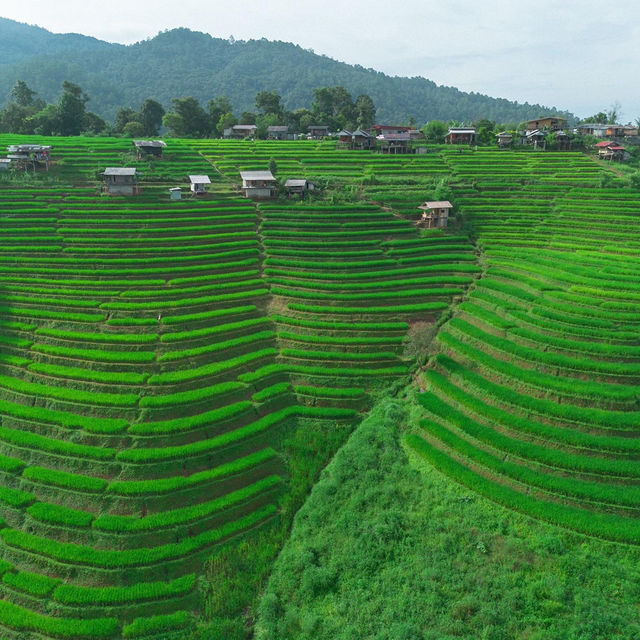 10ข้อควรรู้ ก่อนมาป่าบงเปียง 🌾⛰️🌧️