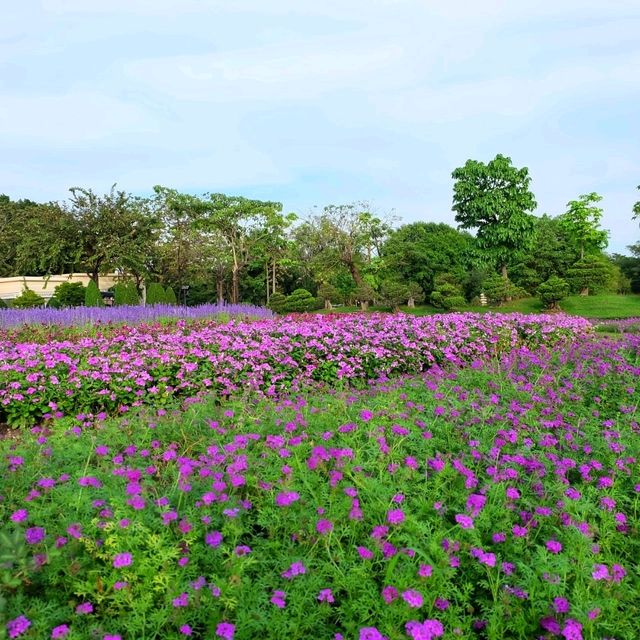 เทศกาลดอกไม้สวนหลวง ร.9