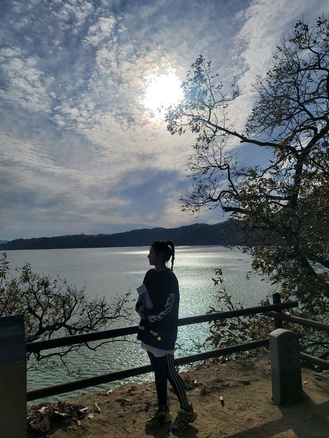 가을에 꼭 가봐야할 안동의 대표적인 문화유산🤎