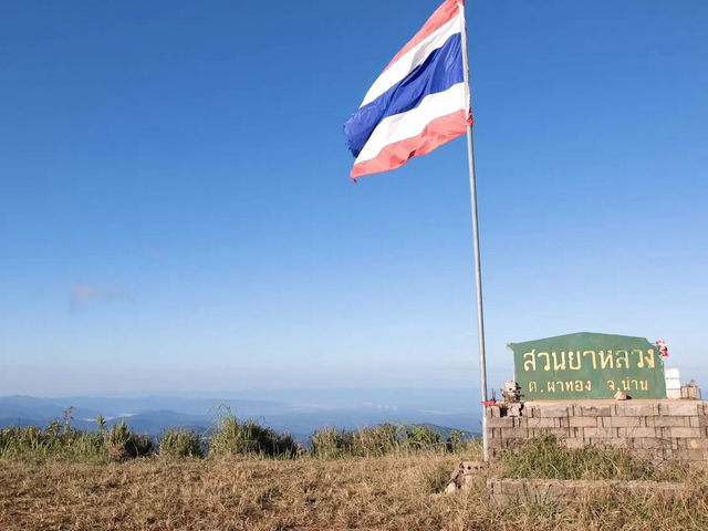 จุดชมวิวสวนยาหลวง จ.น่าน
