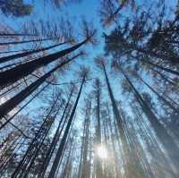 山西呂梁北武當山|| 仙氣飄飄
