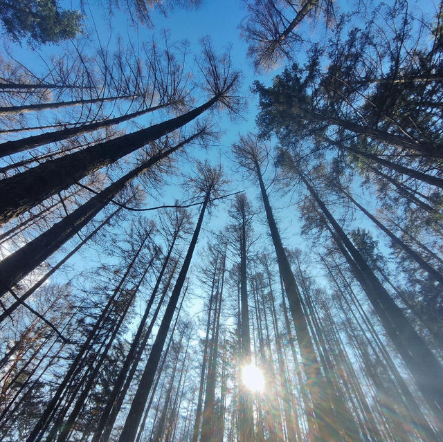 山西呂梁北武當山|| 仙氣飄飄