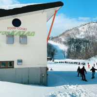 【兵庫】ハチ北スキー場