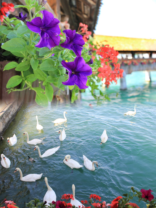 Chapel Bridge: Lucerne's Historic Gem of Beauty and Grace