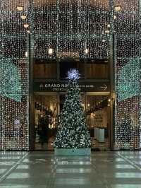 여유롭고 한적한 오다이바에서 느끼는 🎄크리스마스 감성 🎁일루미네이션 명소