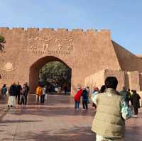 秋天獨旅