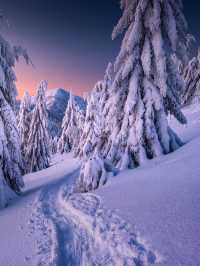 Why You Need to Visit Vel’ká Fatra National Park This Winter