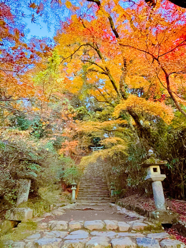 福岡観光🥰情緒ある秋月城跡🏯紅葉も美しい🍁