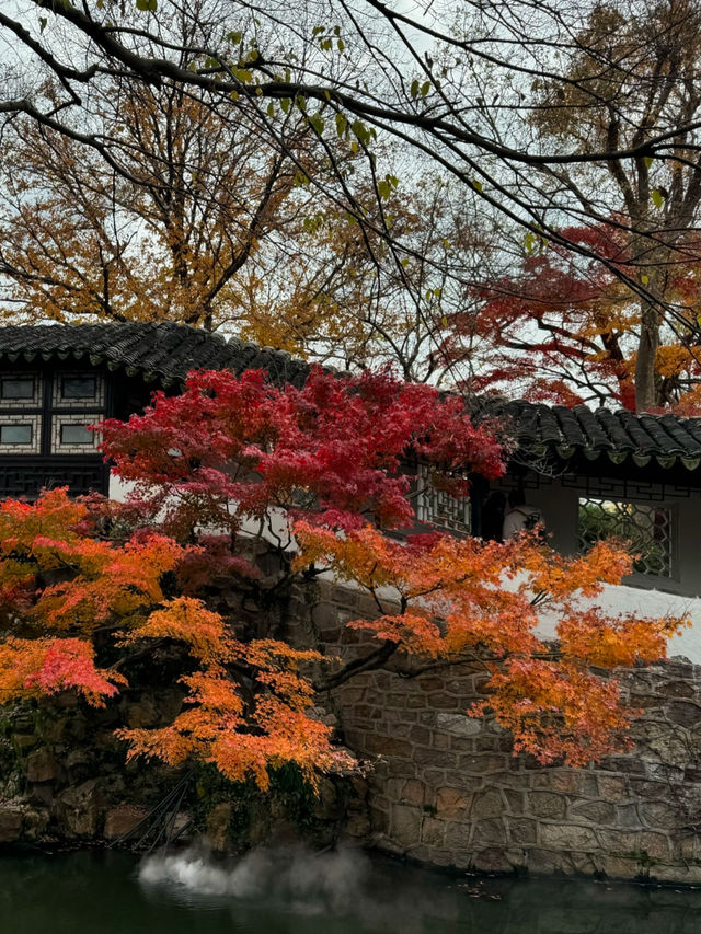 Must see garden in Suzhou 🍁