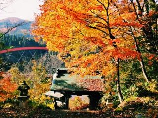 福島🇯🇵 福滿虛空藏菩薩圓藏寺