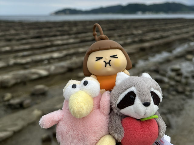 青島的自然生態岩石「鬼之洗衣板」及青島神社⛩️