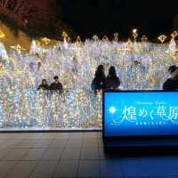 【大阪】大阪でおすすめのクリスマスイルミネーション🎄