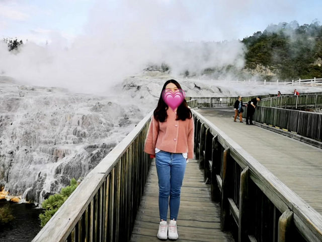 🇳🇿新西蘭間歇泉 蒂普亞地熱保護區