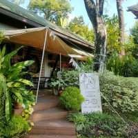 คาเฟ่ Pets Friendly บรรยากาศดีย่านสวนหลวง ร.9