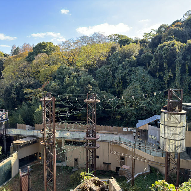 福岡市動植物園 - 在紅葉之美下的奇妙世界
