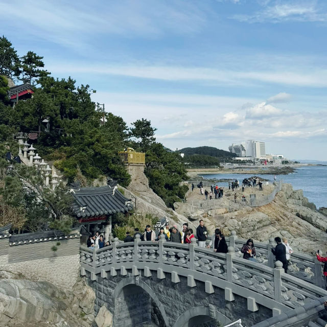 A Serene Escape at Yonggungsa Temple 🇰🇷