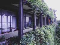 🌿 大自然と一体化する奇跡のホテル「ヘリタンス カンダラマ」 🏞️