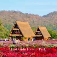 Hokkaido Flower Park Khaoyai 