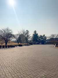 경주 가면 꼭 가야할 ‘경주대릉원’