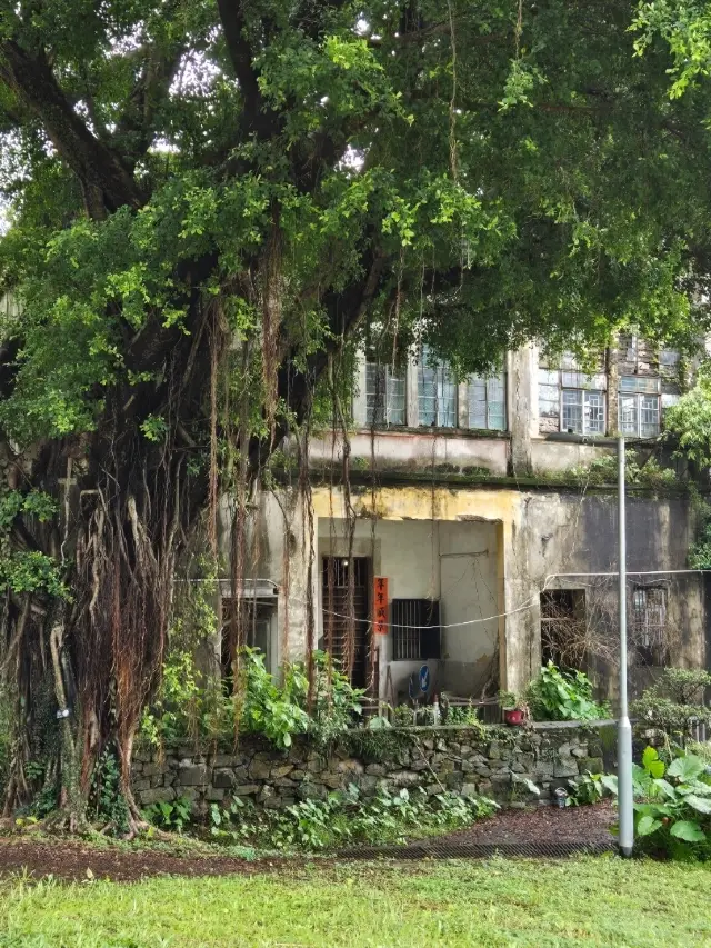 ใช้เวลาวันวาเลนไทน์ในชุมชนที่เต็มไปด้วยความอบอุ่นของผู้คน