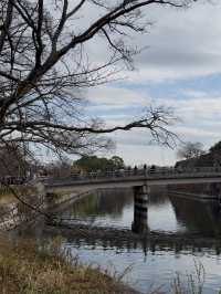 Osaka Castle: Stunning Autumn Views, Observatory Scenery