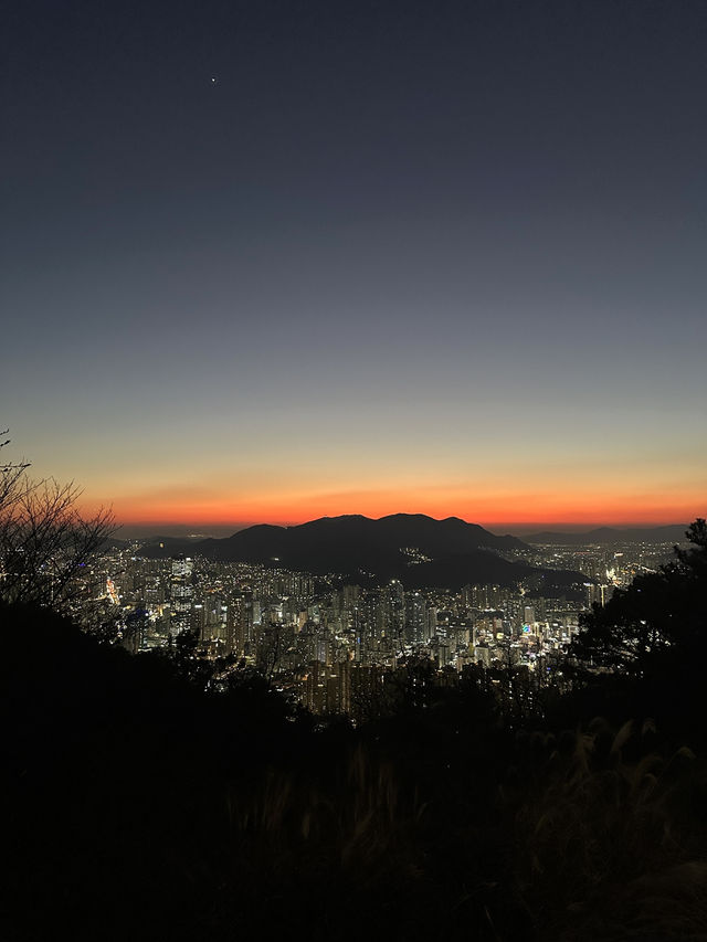 주차장에서 10분! 부산 전경을 내려다보는 무료전망대👍🏻