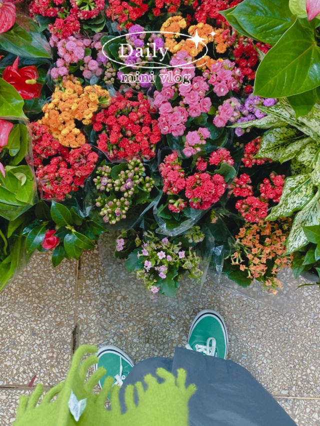 韓國在地人的採花地點！南大門花市 便宜又好逛的花藝天堂
