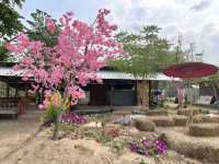 ไร่สตอเบอรี่ภูผาเด่นชัย จ.แพร่