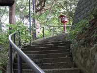 Escape to Nature: A Day Hike to Mount Takao from Tokyo