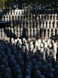 🚋 A Perfect Day Trip to Kamakura: Temple Hopping and Iconic Photo Spots